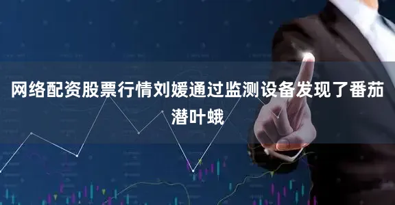 网络配资股票行情刘媛通过监测设备发现了番茄潜叶蛾