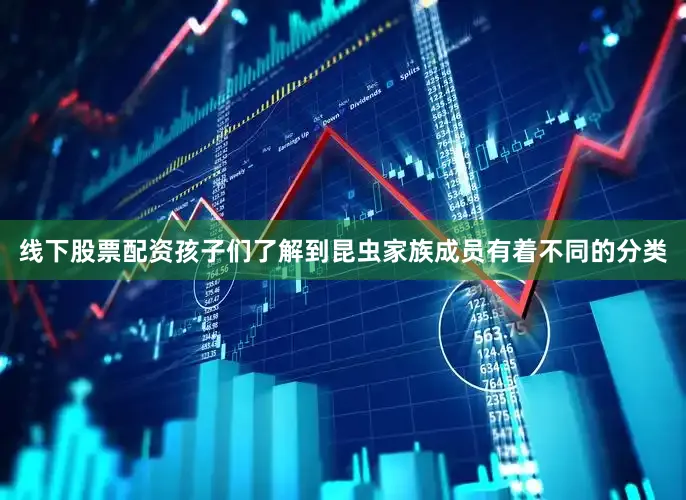线下股票配资孩子们了解到昆虫家族成员有着不同的分类