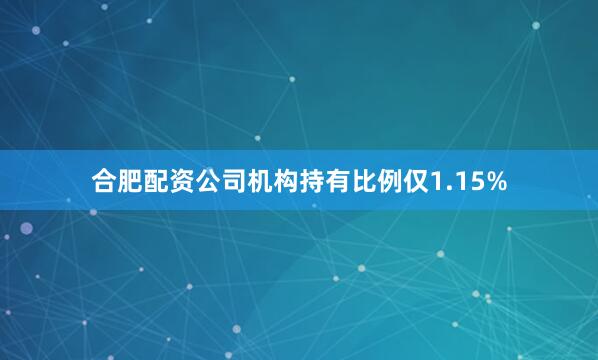 合肥配资公司机构持有比例仅1.15%