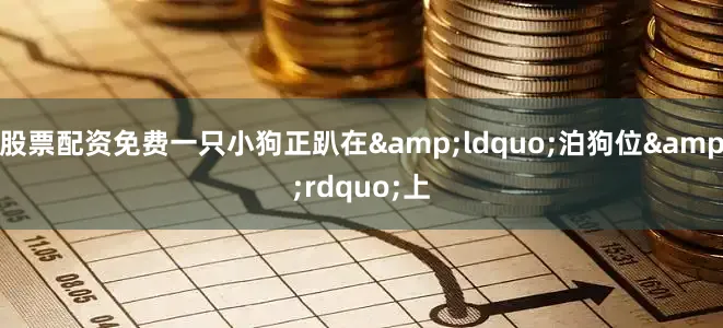 股票配资免费一只小狗正趴在&ldquo;泊狗位&rdquo;上