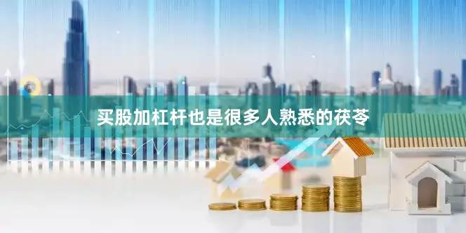 买股加杠杆也是很多人熟悉的茯苓